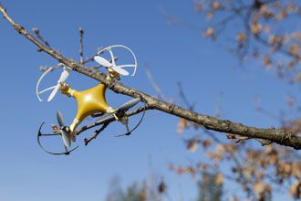 drone amarillo enganchado a la rama de un árbol