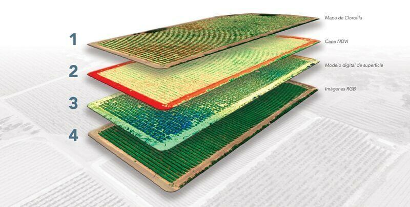 Mapas agricultura de precision RedEgde MX Mapas agricultura de precision RedEgde MX